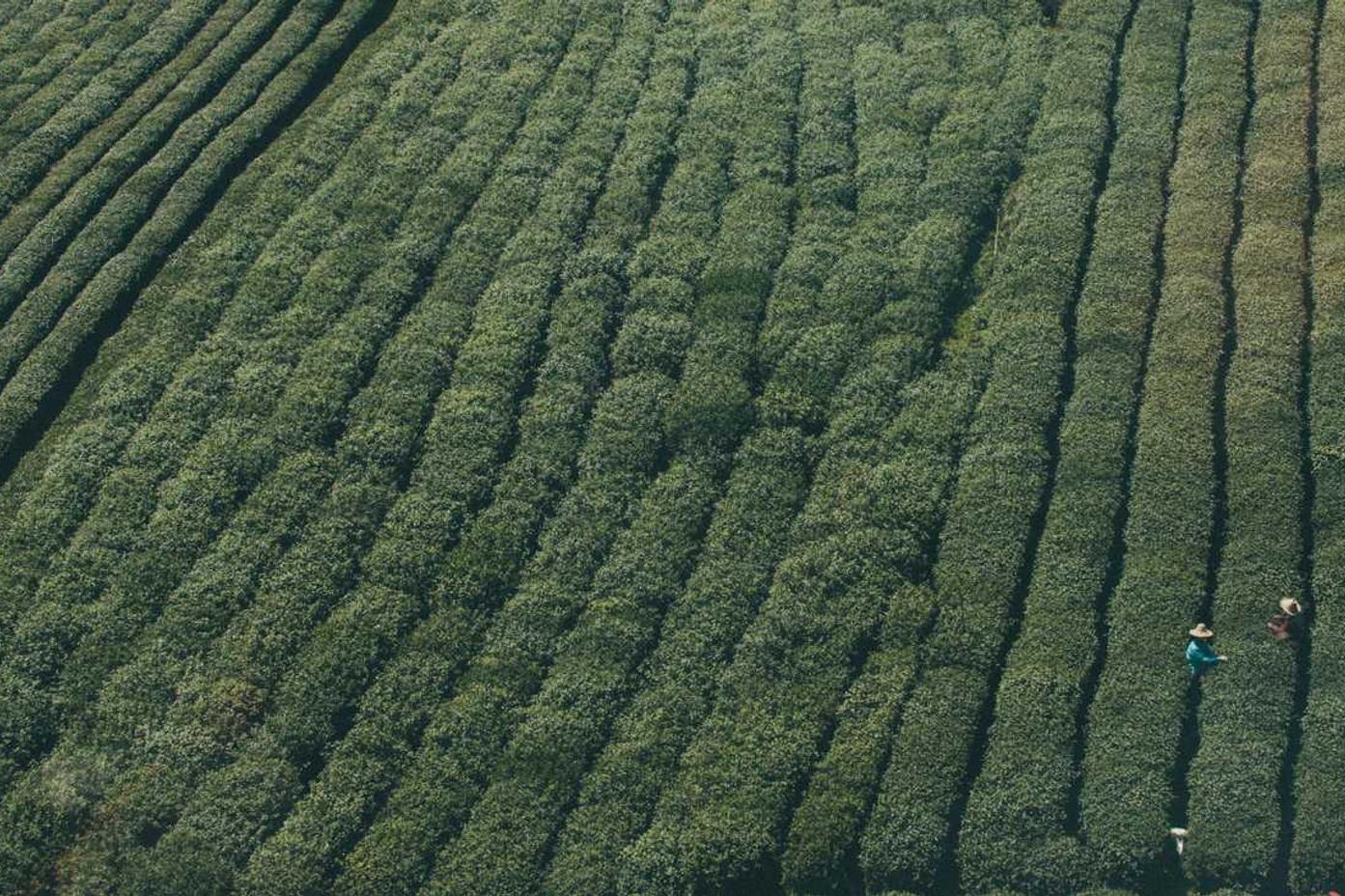 Logiciels de gestion d’inventaire, d’achats et de production