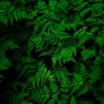 teemu-paananen-OOE4xAnBhKo-unsplash